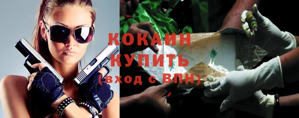 прущие грибы Дмитриев