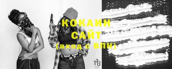 кокс Ростов
