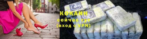 прущие грибы Дмитриев
