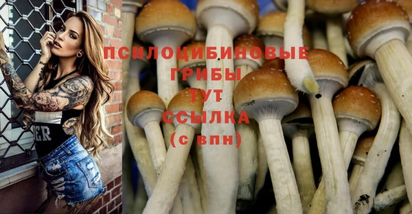кокс Ростов