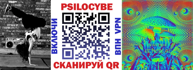 как найти   Вольск  Галлюциногенные грибы Psilocybe 