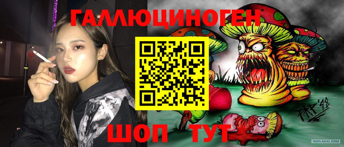 Псилоцибиновые грибы Psilocybe  Вход с VPN  Вольск 