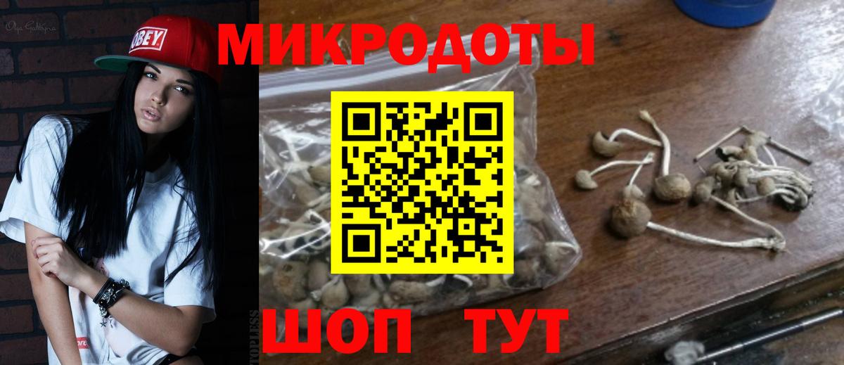 Псилоцибиновые грибы MAGIC MUSHROOMS  Вольск 