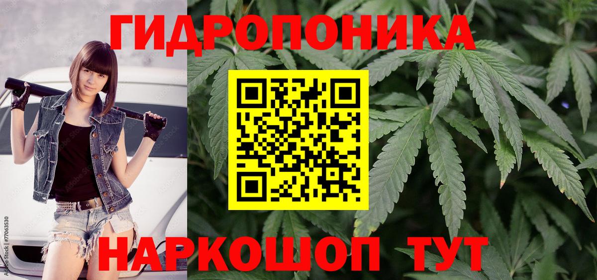 Марихуана гибрид  Вольск  Конопля White Widow  МАРИХУАНА THC 21%  Марихуана VHQ 